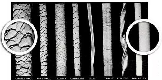 午夜福利视频免费在线观看怎麽保養丨什麽午夜福利视频免费在线观看刷毛比較好用?